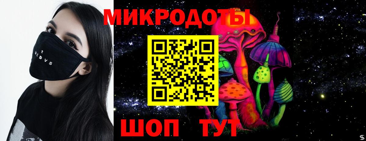 Псилоцибиновые грибы Cubensis Нижний Тагил